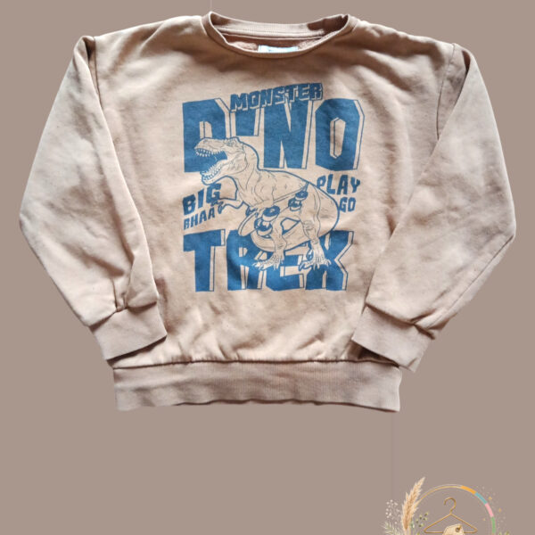 Sweat garcon Monster Dino camel - A1804